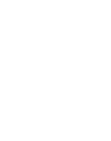 DG Collectibles